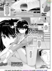 shelter-from-the-rain-2.jpg