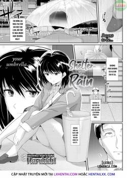 shelter-from-the-rain-2.jpg