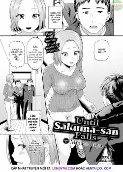 until-sakuma-san-falls.jpg