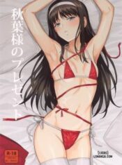 akiha-sama-no-present.jpg