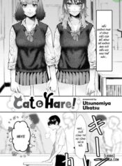 cat-hare.jpg