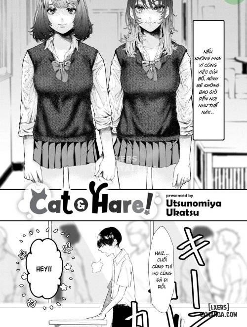 cat-hare.jpg