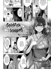 goldfish-scooping.jpg