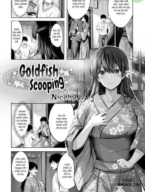 goldfish-scooping.jpg