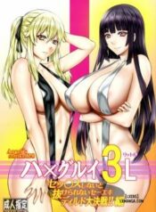 hamegurui-3l.jpg