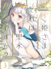 hime-sama-sore-wa-seisui-desu-ka-3.jpg