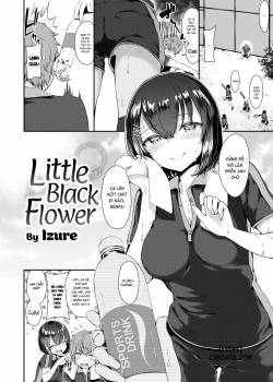 little-black-flower.jpg