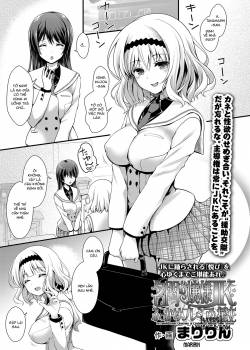 meimon-ojou-sama-jk-fukkake-premium-enkou.jpg