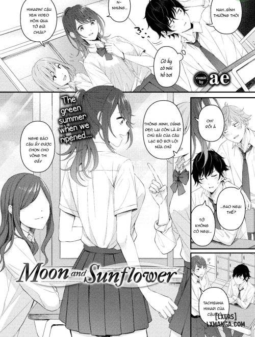 moon-and-sunflower.jpg