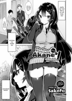 obedient-girlfriend-akane-chan.jpg