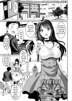 perfect-fit.jpg