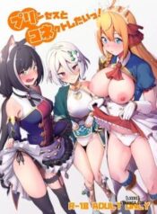princess-to-connect-shitai.jpg