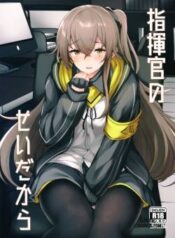 shikikan-no-sei-dakara.jpg