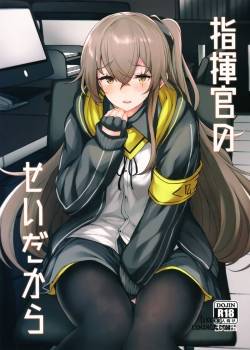 shikikan-no-sei-dakara.jpg