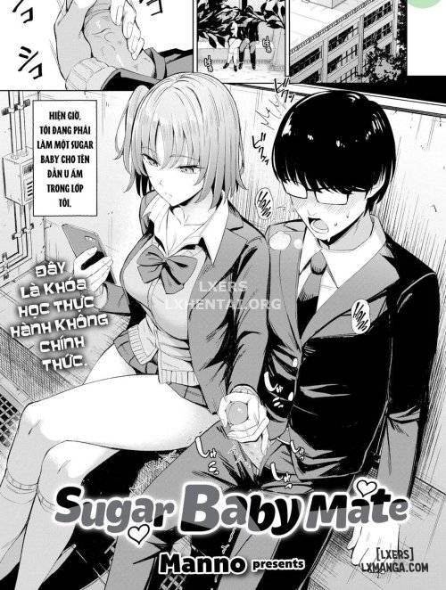 sugar-baby-mate.jpg