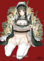 swan-maid-academy.jpg