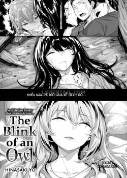 the-blink-of-an-owl.jpg