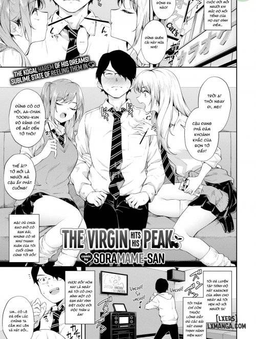 the-virgin-hits-his-peak.jpg