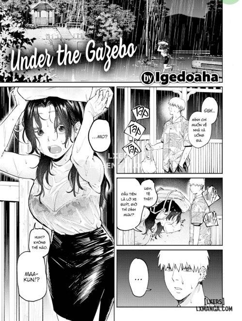 under-the-gazebo.jpg