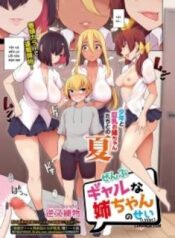zenbu-gal-na-nee-chan-no-sei.jpg